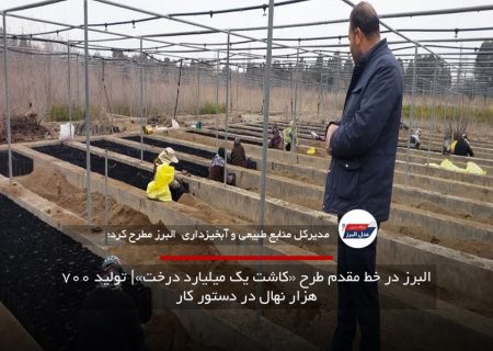 البرز در خط مقدم طرح «کاشت یک میلیارد درخت»| تولید ۷۰۰ هزار نهال در دستور کار