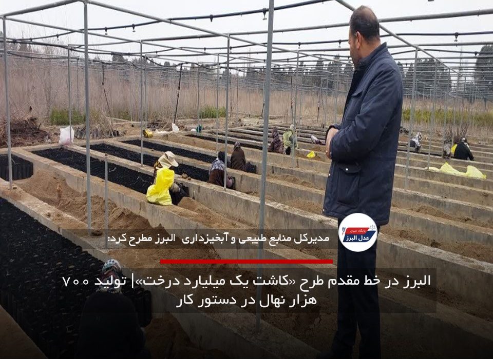 البرز در خط مقدم طرح «کاشت یک میلیارد درخت»| تولید ۷۰۰ هزار نهال در دستور کار