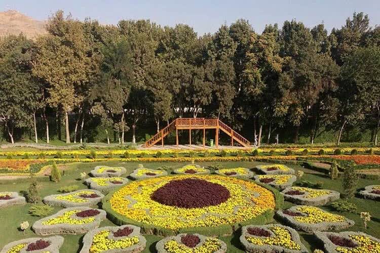 البرز