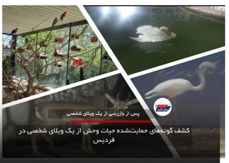 کشف گونه‌های حمایت‌شده حیات وحش از یک ویلای شخصی در فردیس