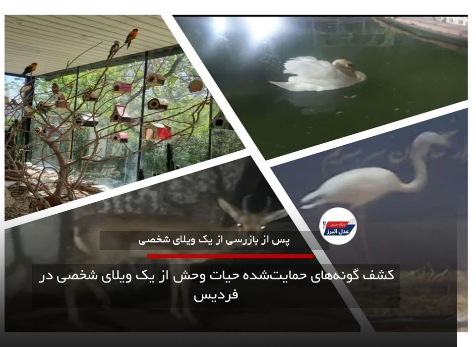 کشف گونه‌های حمایت‌شده حیات وحش از یک ویلای شخصی در فردیس