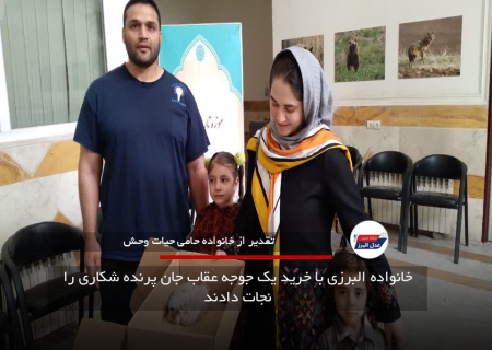 خانواده البرزی با خرید یک جوجه عقاب، جان پرنده شکاری را نجات دادند