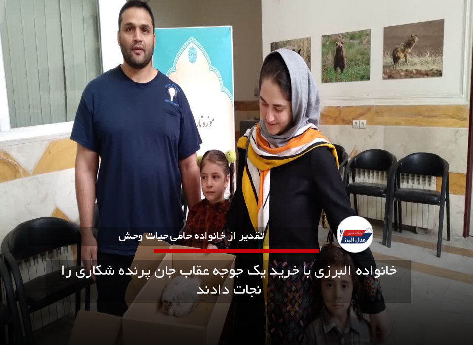 خانواده البرزی با خرید یک جوجه عقاب، جان پرنده شکاری را نجات دادند