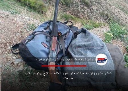 شکار متجاوزان به حیات‌وحش البرز؛ کشف سلاح برنو در قلب طبیعت