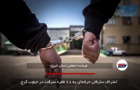 اعتراف سارقان حرفه‌ای به ۶۸ فقره سرقت در جنوب کرج