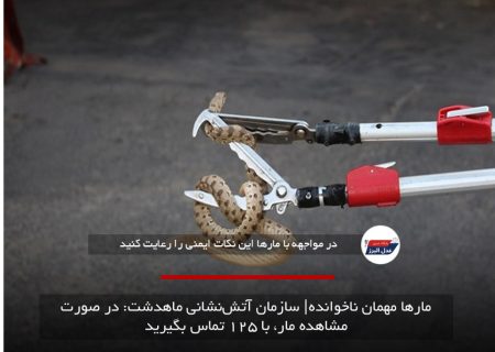 مارها مهمان ناخوانده| سازمان آتش‌نشانی ماهدشت: در صورت مشاهده مار، با ۱۲۵ تماس بگیرید