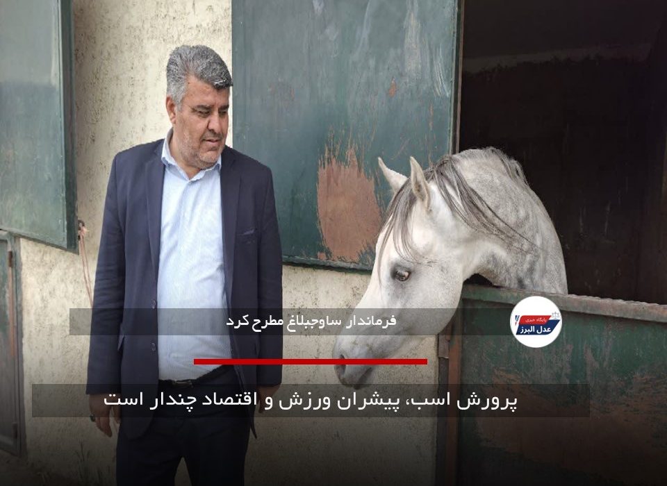 پرورش اسب، پیشران ورزش و اقتصاد چندار است