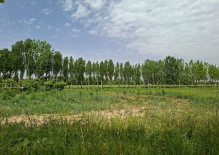 تفاهم‌نامه تامین پساب؛ گام نخست اجرای طرح توسعه صنعت سبز در البرز