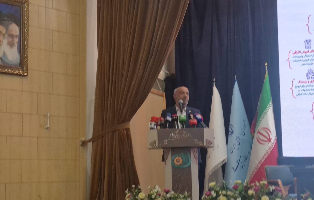 موفقیت مشاغل خانگی در گرو همکاری دستگاههاست