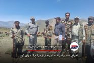 اخراج ۸۰۰ رأس دام غیرمجاز از مراتع کندوان کرج