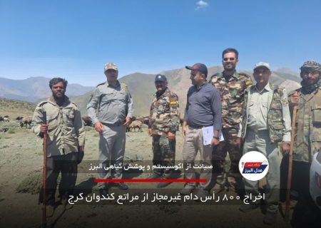 اخراج ۸۰۰ رأس دام غیرمجاز از مراتع کندوان کرج
