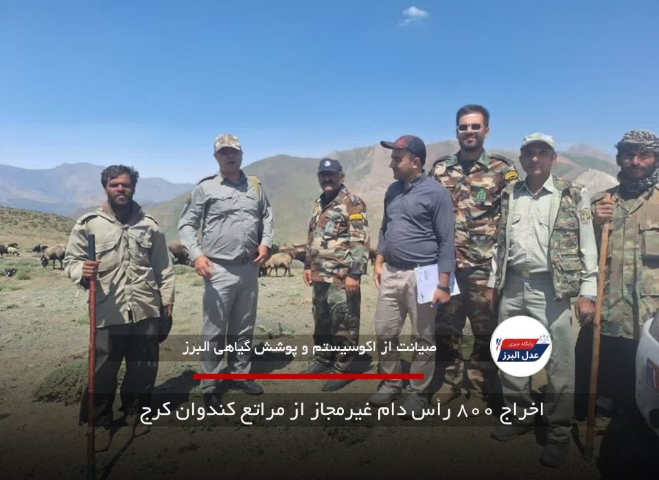 اخراج ۸۰۰ رأس دام غیرمجاز از مراتع کندوان کرج