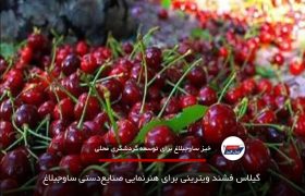گیلاس فشند ویترینی برای هنرنمایی صنایع‌دستی ساوجبلاغ