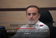 بحران درختان کرج؛ از گزارش‌های سیاه و منظر تا مطالبه جدی از شهردار