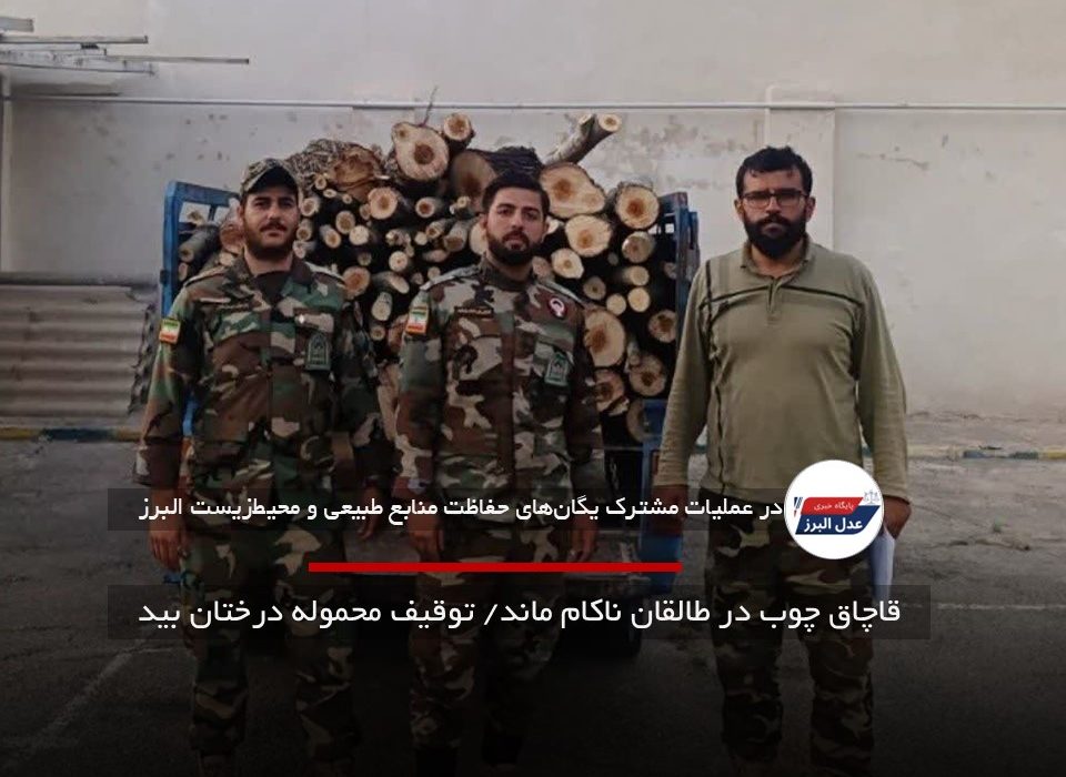 قاچاق چوب در طالقان ناکام ماند/ توقیف محموله درختان بید